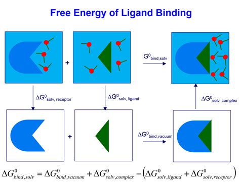 Binding Free Energy Equation Tessshebaylo