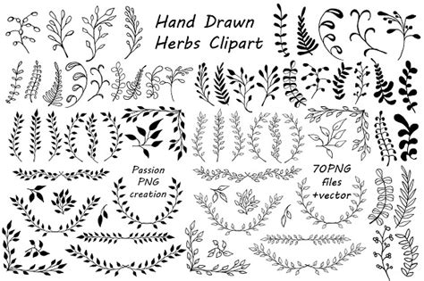 Hand Drawn Herbs Clipart ~ Illustrations on Creative Market