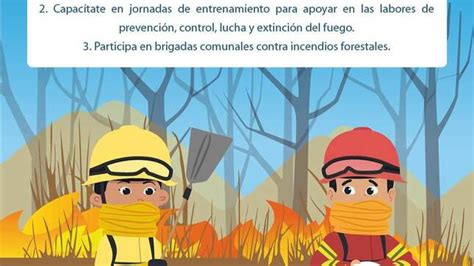 Incendios Forestales Registrados En Diferentes Regiones En Los Ltimos