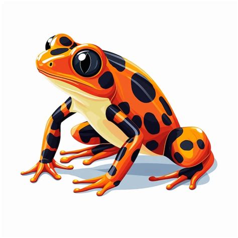 Premium Photo Orange And Black Poison Dart Frog Clip Art Clip