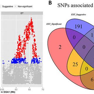 Regional Plots A And Venn Diagram B Of Significant SNPs Associated