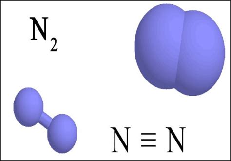 Fijación Biológica de Nitrógeno Atmosférico Intagri S C