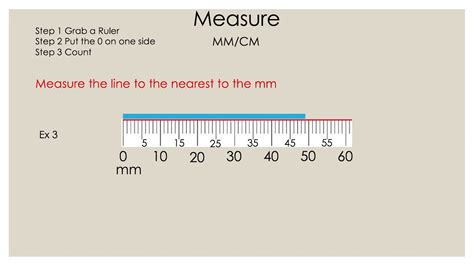 What Is Ruler Definition Types Examples Facts 57 Off