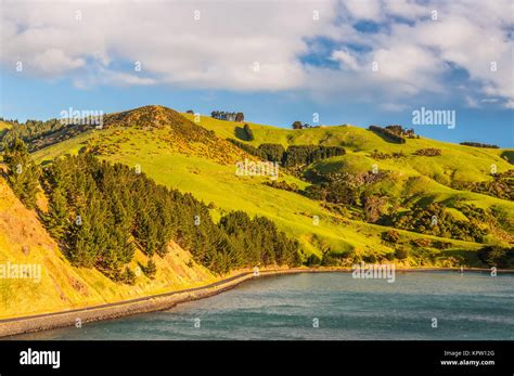 New Zealand Otago Region Coastal Landscape Stock Photo Alamy