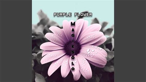 Purple Flower Youtube Music