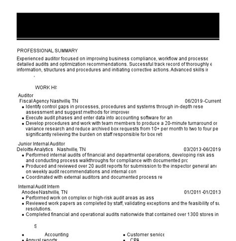 Professional Auditor Resume Examples