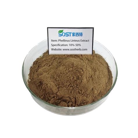 Best Phellinus Linteus Extract Manufacturers, Suppliers and Factory - Natural Herb Medicine ...