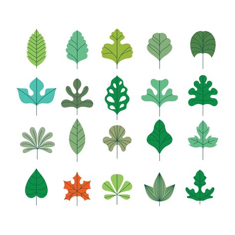 Vector Set Of Beautiful Leaves With Minimalist Style Vector Art