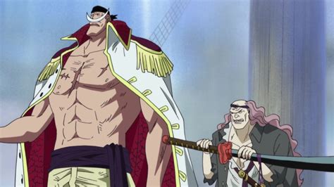 One Piece Guerra Dos Maiorais O Estrategema De Akainu O