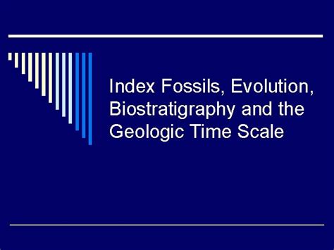 Index Fossils Evolution Biostratigraphy And The Geologic Time