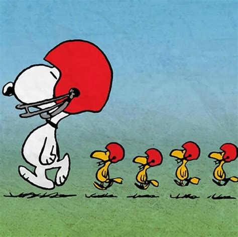 Football Team Snoopy Und Woodstock Snoopy Love Peanuts Cartoon