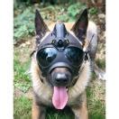 K9 Vision System K9 HELM PRO Equipement Pour Brigades Canine K9