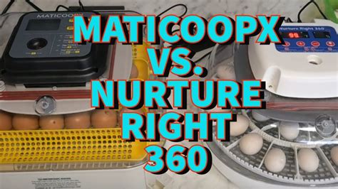 Maticoopx Egg Incubator And The Nurture Right Incubator Youtube