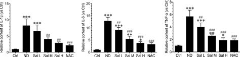 Frontiers Skeletal Muscle Atrophy Was Alleviated By Salidroside