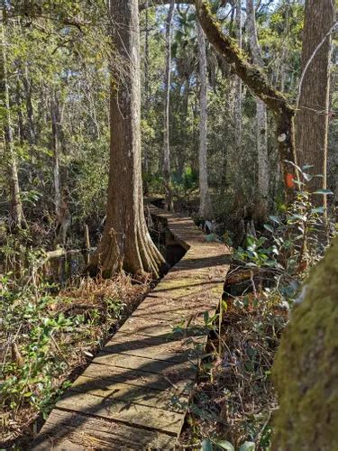 Best Hikes And Trails In St Marks National Wildlife Refuge Alltrails