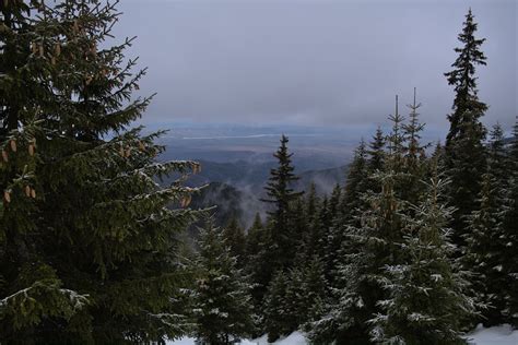 Hiking trail from "Păstrăvărie" through Sâmbăta de Sus hut, Hoaghea ...