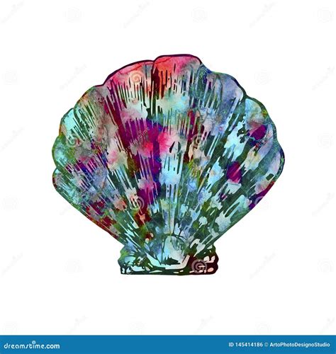 Seashell Isolated Illustration Hand Painted Colorful Abstract