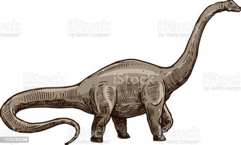 Ilustración De Dinosaurio Azul Aislado Niño Brontosaurus Dino Y Más Vectores Libres De Derechos