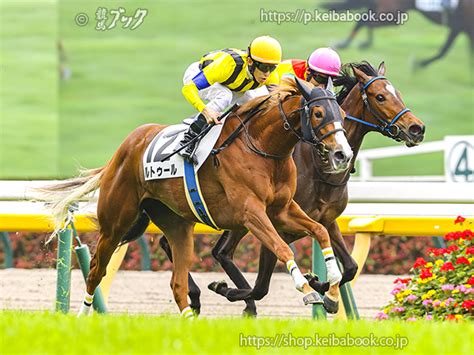 競馬ブックネットshop カラープリントアルミ枠付き2024年4月27日東京5r 3歳未勝利ルトゥール