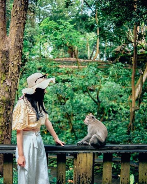 Ubud Apenbos Batuan Tempel En Waterval Tour Getyourguide