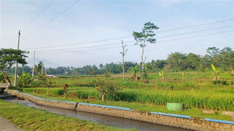 sitalang kauman kidul salatiga youtube