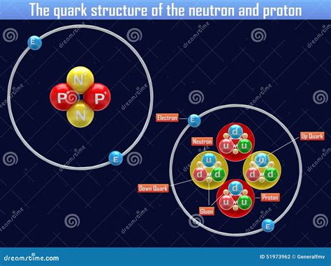 La Struttura Del Quark Del Neutrone E Del Protone Illustrazione di ...