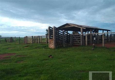 Fazenda Na Estrada Rea Rural Zona Rural Vila Rica Mt Id