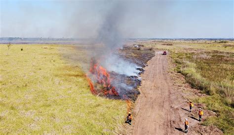 Em alerta para incêndios florestais biomas de MS são monitorados para