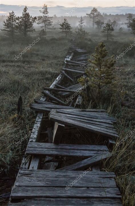 Broken road in a marsh in dark night Stock Photo by ©risto40 13339534