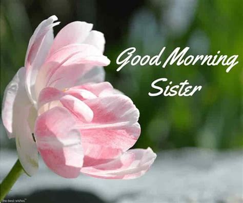 Good Morning Sister Greetings