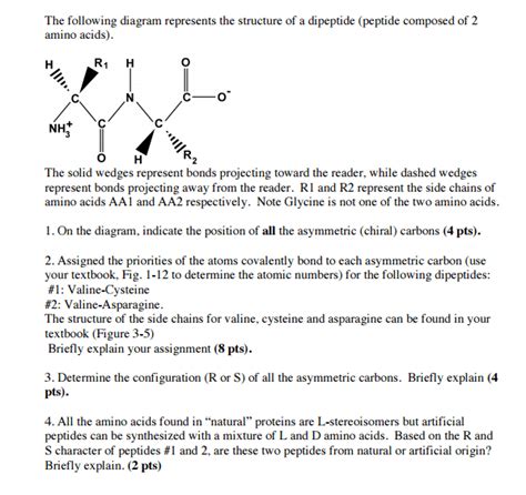 OneClass: The following diagram represents the structure of a dipeptide (peptide composed of 2 ...