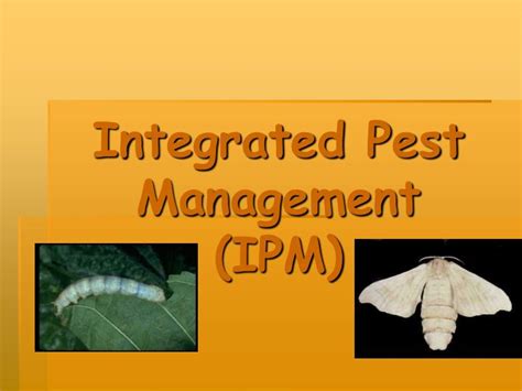 PPT Integrated Pest Management IPM PowerPoint Presentation ID 400808