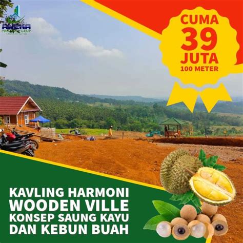 Tanah Termurah Konsep Villa Saung Kayu Taman Buah Buah Estetik