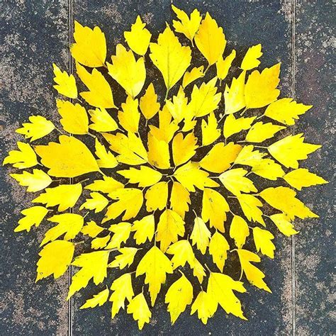 Fallen Leaf Art | Leaf art, Autumn leaves art, Land art