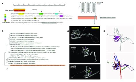 Sequence And Structural Features Of The Aig1 Ehi 180390 A Prosite