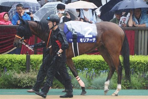 【jra】ajcc・4着のモリアーナは中山牝馬sへ、課題は“折り合い”か？ 競馬ヘッドライン