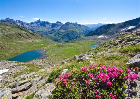 Energia E Natura Trekking E Passeggiate Da Malghera Al Passo