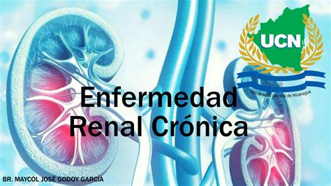 Solution Enfermedad Renal Cr Nica Studypool