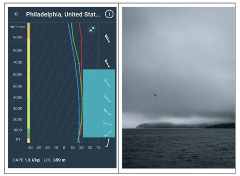 Nimbostratus clouds and the precipitation they cause - Windy.app