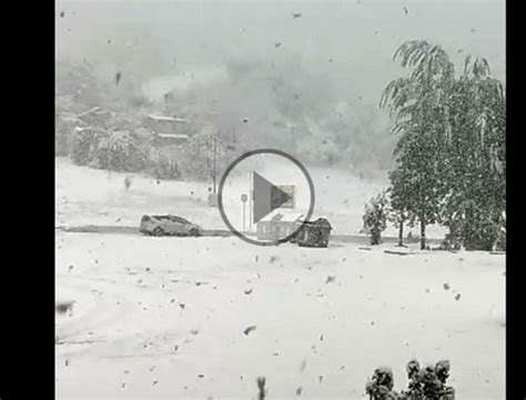 Meteo DIRETTA VIDEO Colline Modenesi 200m GUARDATE Come NEVICA