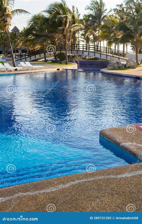 Swimming pool stock photo. Image of travel, green, nature - 289731392