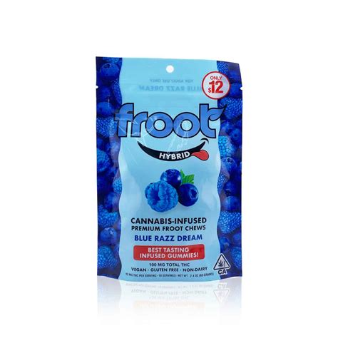 Froot Edible Blue Razz Dream Gummies 10 Pack 10