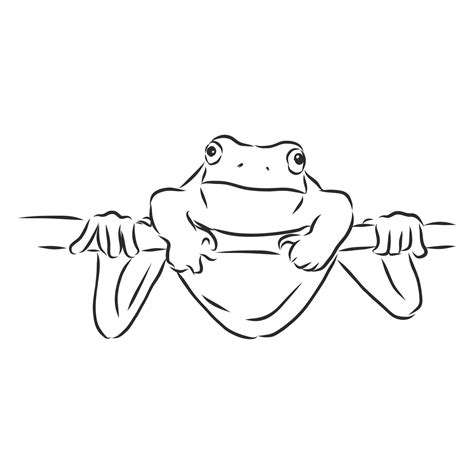 frog vector sketch 8655952 Vector Art at Vecteezy