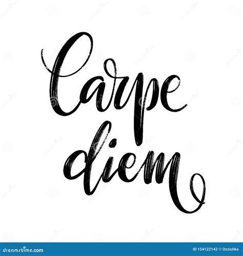 Letras Dibujadas Mano Del Vector Palabras Carpe Diem A Mano Ilustracin