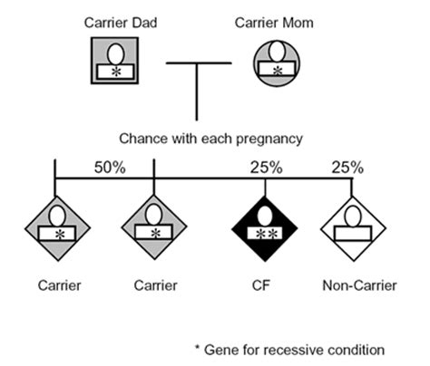 Inheritance: Inheritance Pattern Of Cystic Fibrosis