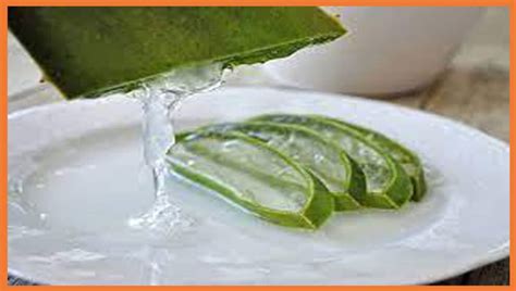 Sabila Aloe Vera Descubre Los Beneficios Para La Salud Y Belleza