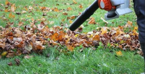 Gas Vs Electric Leaf Blower Which Is Better For Your Yard Pros And Cons