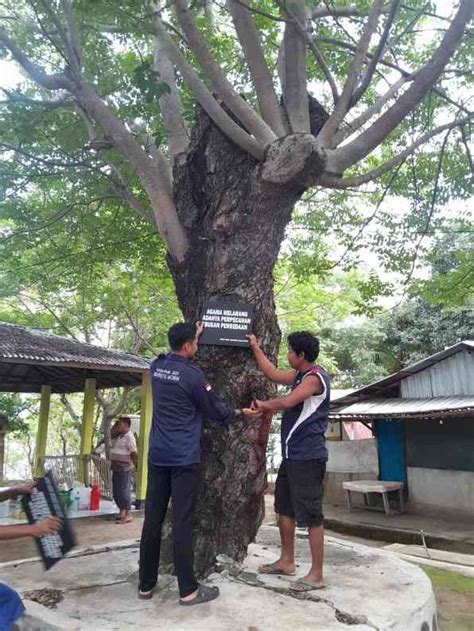 Peran Informasi Sebagai Sarana Penunjang Wisata Makam Medana Melalui