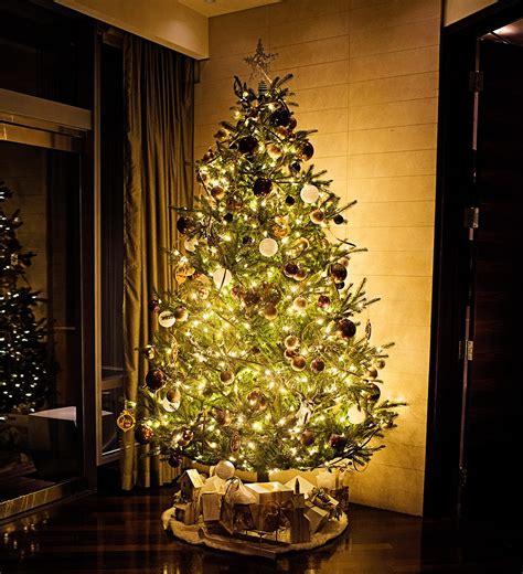 Commercial Christmas Trees // Hotel Lobby - Greenscape Design & Decor