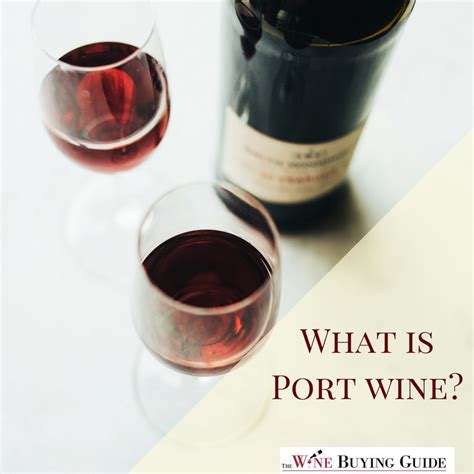 What is Port Wine? | TheWineBuyingGuide.com